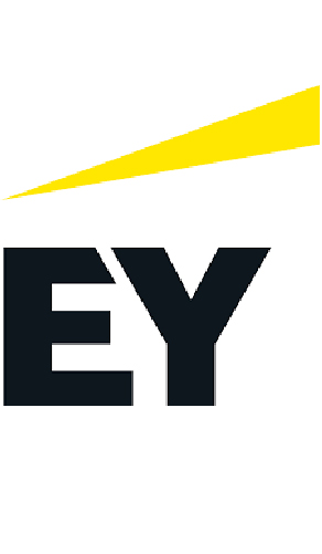 Company 4 Logo